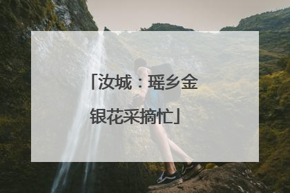 汝城：瑶乡金银花采摘忙