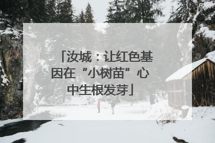 汝城：让红色基因在“小树苗”心中生根发芽