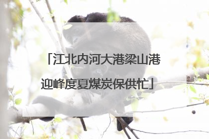 江北内河大港梁山港迎峰度夏煤炭保供忙