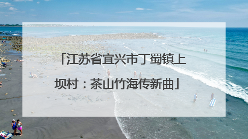 江苏省宜兴市丁蜀镇上坝村：茶山竹海传新曲