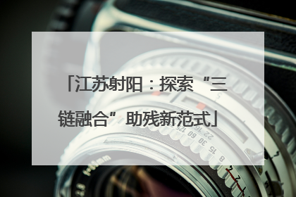 江苏射阳：探索“三链融合”助残新范式