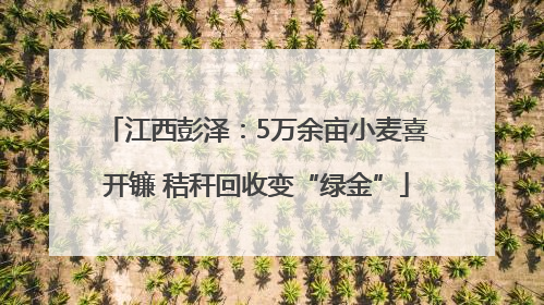 江西彭泽：5万余亩小麦喜开镰 秸秆回收变“绿金”