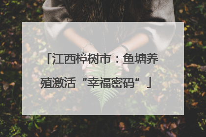 江西樟树市：鱼塘养殖激活“幸福密码”