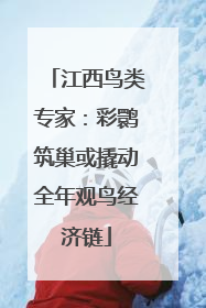 江西鸟类专家：彩鹮筑巢或撬动全年观鸟经济链