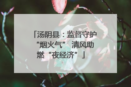 汤阴县：监督守护“烟火气” 清风助燃“夜经济”