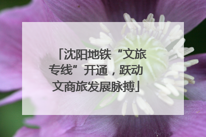 沈阳地铁“文旅专线”开通，跃动文商旅发展脉搏