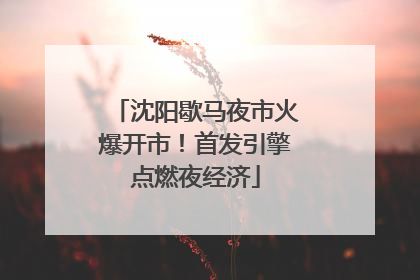 沈阳歇马夜市火爆开市！首发引擎点燃夜经济