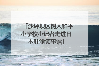 沙坪坝区树人和平小学校小记者走进日本驻渝领事馆