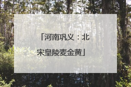 河南巩义：北宋皇陵麦金黄