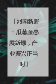河南新野：瓜蒌藤蔓展新绿，产业振兴正当时
