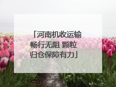 河南机收运输畅行无阻 颗粒归仓保障有力