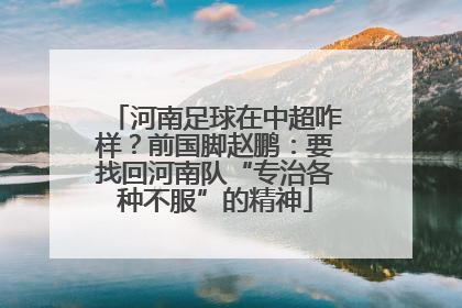 河南足球在中超咋样？前国脚赵鹏：要找回河南队“专治各种不服”的精神