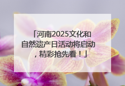 河南2025文化和自然遗产日活动将启动，精彩抢先看！