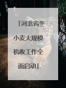 河北省冬小麦大规模机收工作全面启动