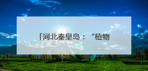 河北秦皇岛：“植物活化石”天女花绽放