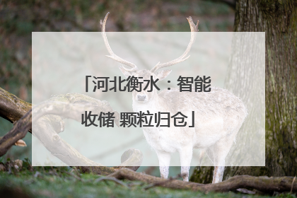 河北衡水：智能收储 颗粒归仓