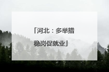 河北：多举措稳岗促就业