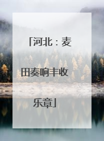 河北：麦田奏响丰收乐章