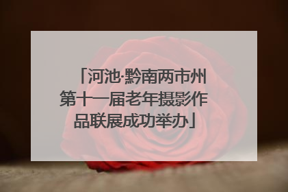 河池·黔南两市州第十一届老年摄影作品联展成功举办