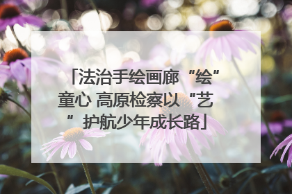 法治手绘画廊“绘”童心 高原检察以“艺”护航少年成长路