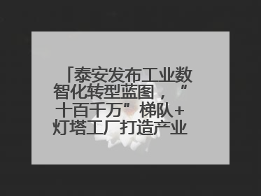 泰安发布工业数智化转型蓝图，“十百千万”梯队+灯塔工厂打造产业新标杆