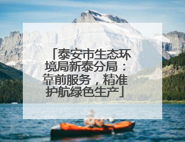 泰安市生态环境局新泰分局：靠前服务，精准护航绿色生产