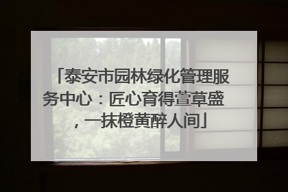 泰安市园林绿化管理服务中心：匠心育得萱草盛，一抹橙黄醉人间