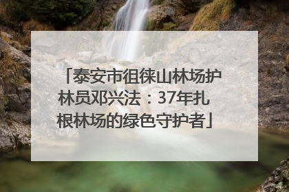 泰安市徂徕山林场护林员邓兴法：37年扎根林场的绿色守护者