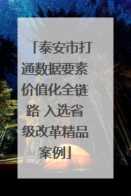 泰安市打通数据要素价值化全链路 入选省级改革精品案例