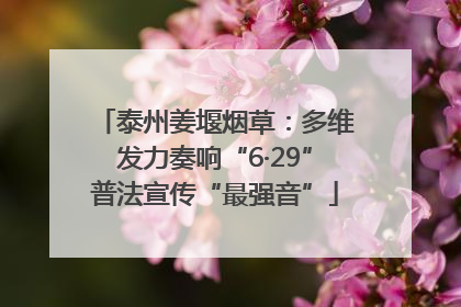 泰州姜堰烟草：多维发力奏响“6·29”普法宣传“最强音”
