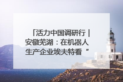 活力中国调研行｜安徽芜湖：在机器人生产企业埃夫特看“中国智造”
