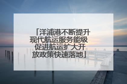 洋浦港不断提升现代航运服务能级 促进航运扩大开放政策快速落地
