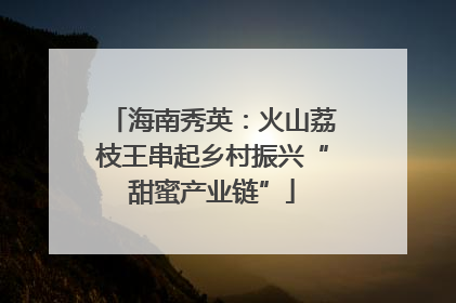 海南秀英：火山荔枝王串起乡村振兴“甜蜜产业链”