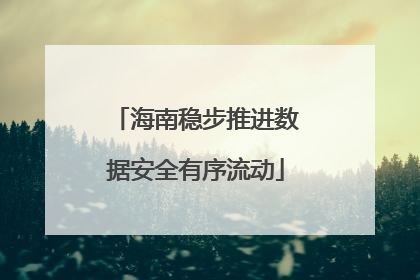 海南稳步推进数据安全有序流动