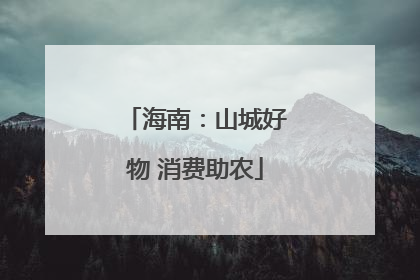 海南：山城好物 消费助农