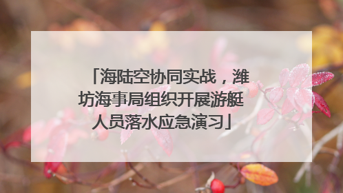 海陆空协同实战，潍坊海事局组织开展游艇人员落水应急演习