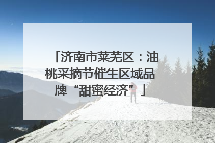 济南市莱芜区：油桃采摘节催生区域品牌“甜蜜经济”