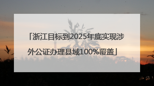 浙江目标到2025年底实现涉外公证办理县域100%覆盖