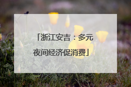 浙江安吉：多元夜间经济促消费