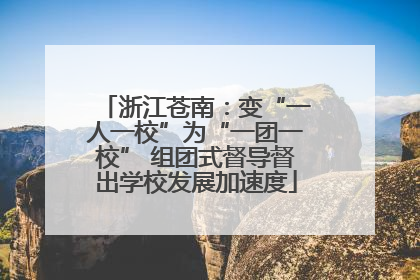 浙江苍南：变“一人一校”为“一团一校” 组团式督导督出学校发展加速度