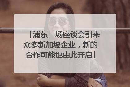 浦东一场座谈会引来众多新加坡企业，新的合作可能也由此开启