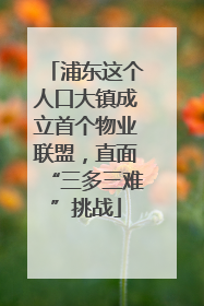 浦东这个人口大镇成立首个物业联盟，直面“三多三难”挑战