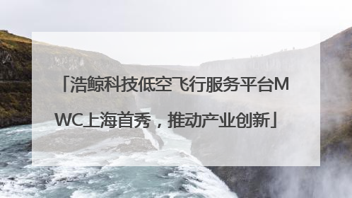 浩鲸科技低空飞行服务平台MWC上海首秀，推动产业创新