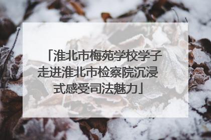 淮北市梅苑学校学子走进淮北市检察院沉浸式感受司法魅力