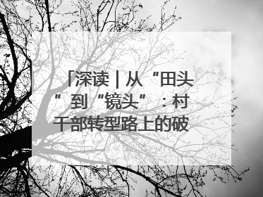 深读｜从“田头”到“镜头”：村干部转型路上的破圈与突围