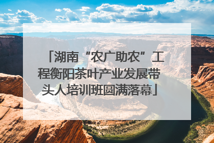 湖南“农广助农”工程衡阳茶叶产业发展带头人培训班圆满落幕