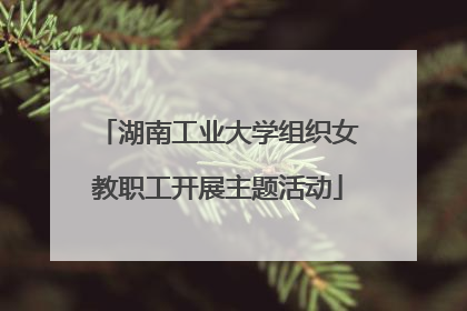 湖南工业大学组织女教职工开展主题活动