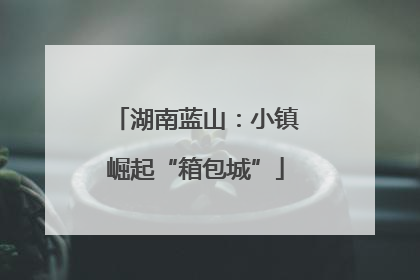 湖南蓝山：小镇崛起“箱包城”
