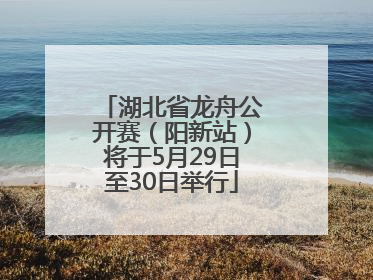 湖北省龙舟公开赛（阳新站）将于5月29日至30日举行