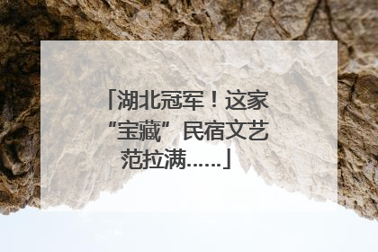 湖北冠军！这家“宝藏”民宿文艺范拉满……